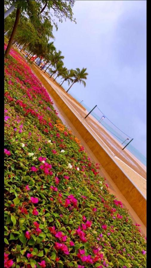 أستديو توليب مارينا الفندقي King Abdullah Economic City Buitenkant foto